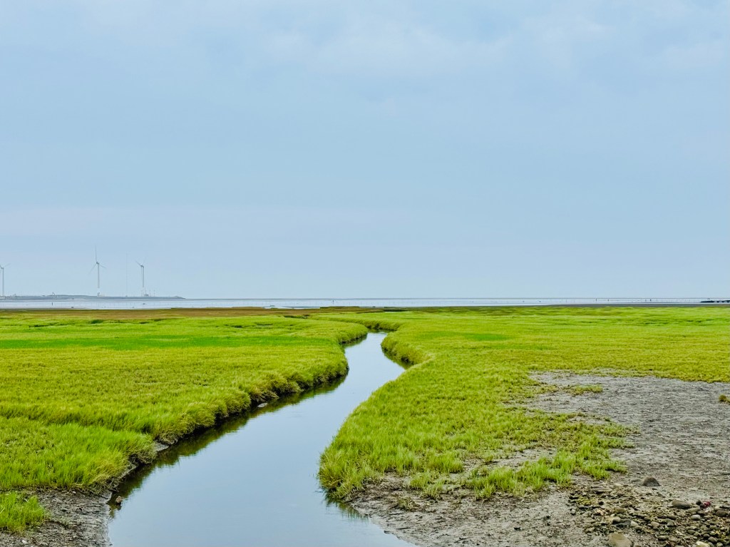 求生存的人們啊，在課程面談現場。